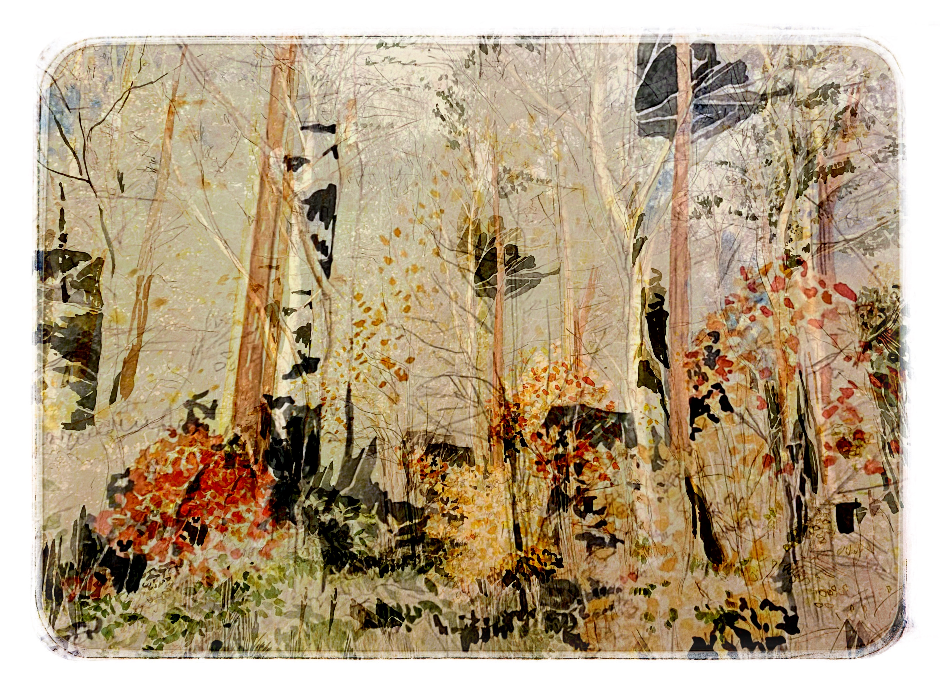 farley woodland 2.jpg